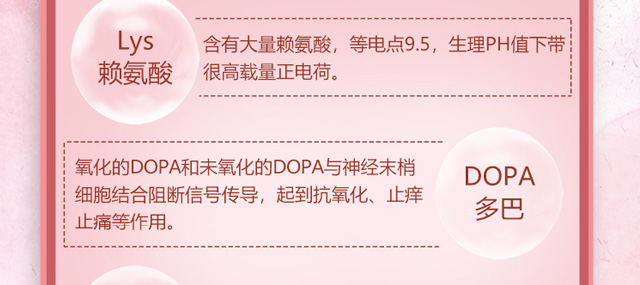 �Oؐճ�����ޏ�(f��)���Foem