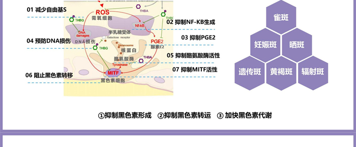 ����׺�OEM_ODM