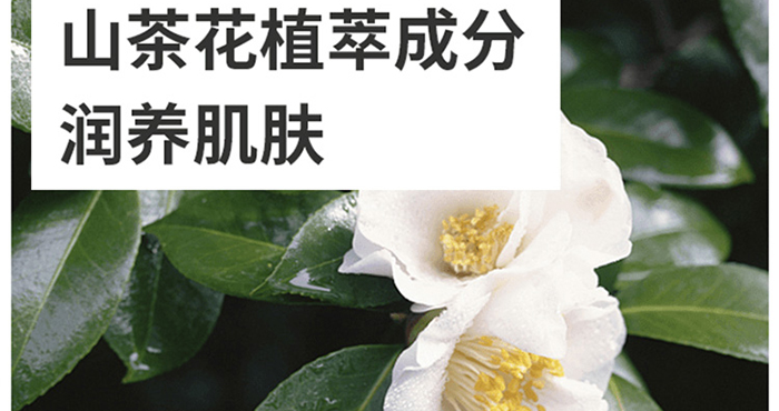 �ҵ�����r��ɽ�軨ˮ������������