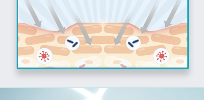 ��(l��)�݃��o����(r��n)���(r��n)�w��