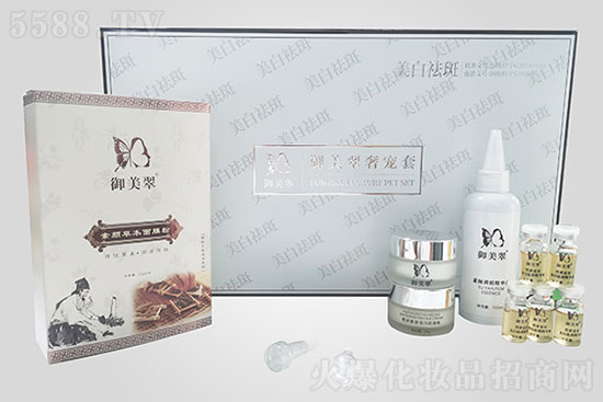 �������݌���