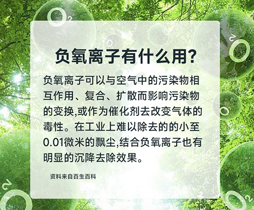 輕氧女神頸部固定器 輕氧女神頸部固定器